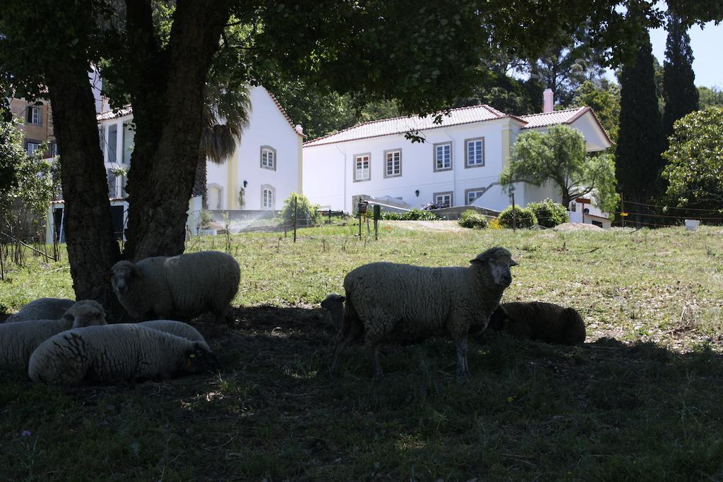 Eugaria Country House By Lost Lisbon シントラ エクステリア 写真